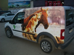 Can Reklam